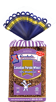 <p>Canadian Purple Wheat - 100% Bijirin Penuh</p> <p>Canadian Purple Wheat - 100% Bijirin Penuh</p>